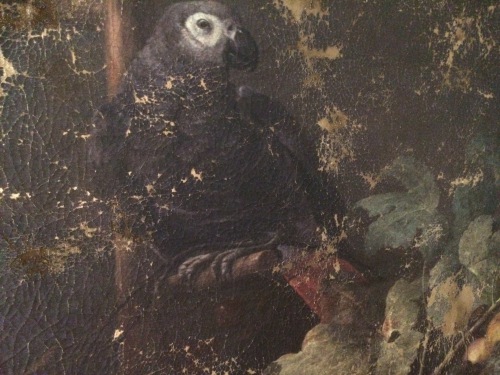  J. Davidszoon de Heem - Stilleben